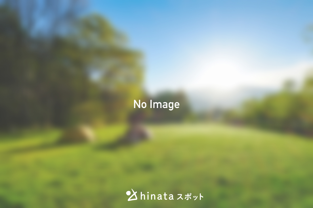 no-image